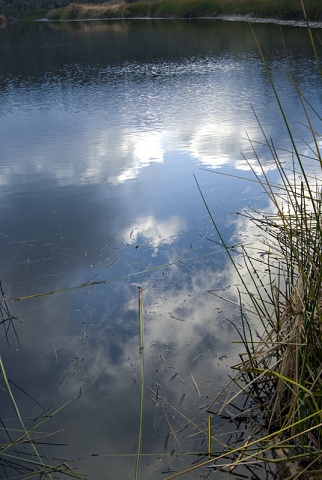 Reflect