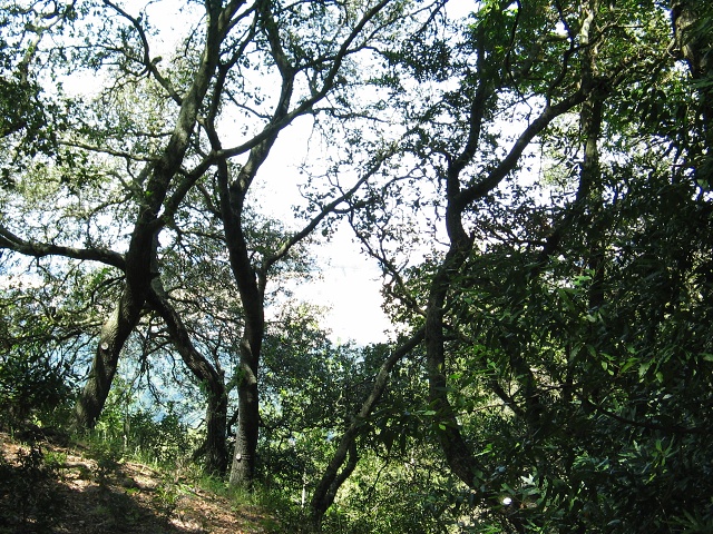 Retreat-2004-25